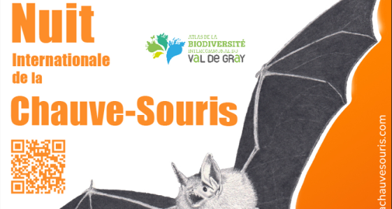 Nuit Internationale de la Chauve-souris