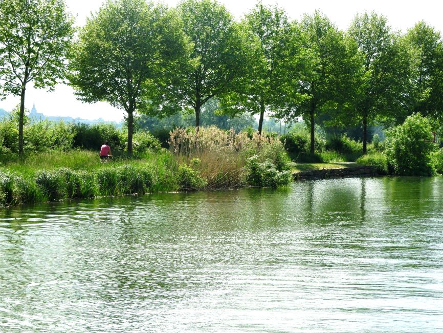 vélo bord saone