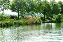 vélo bord saone